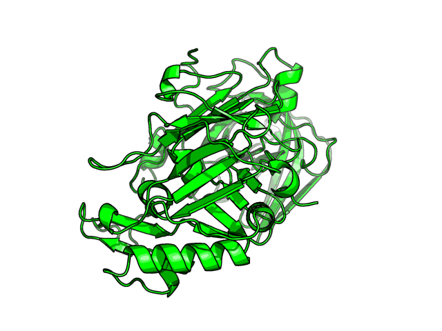 PDB image BACE1_P56817