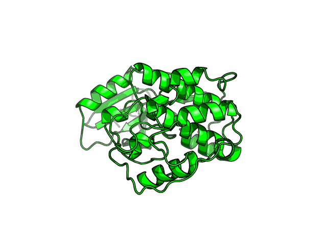 PDB image CDK2_P24941