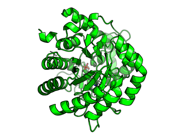 PDB image DHODH_Q02127