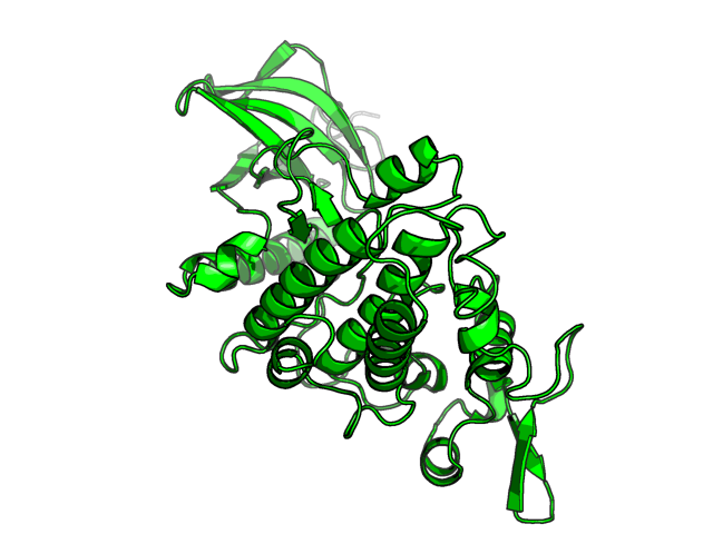 PDB image DYRK1A_Q13627