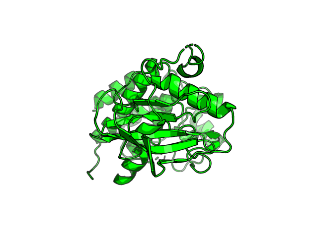 PDB image FLT1_P17948