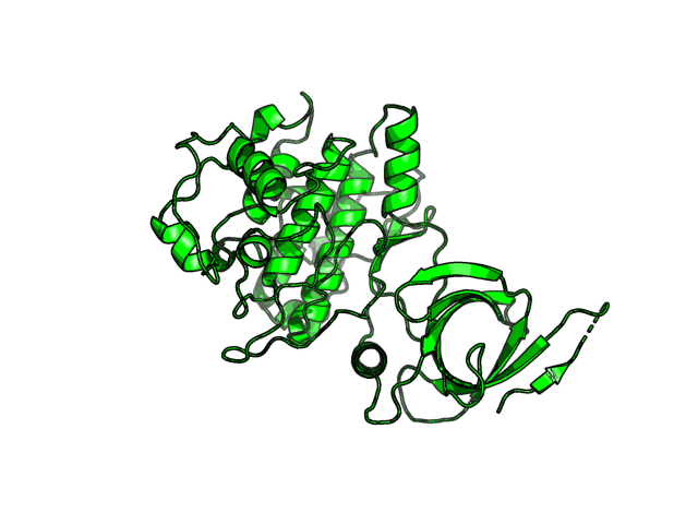 PDB image GSK3B_P49841