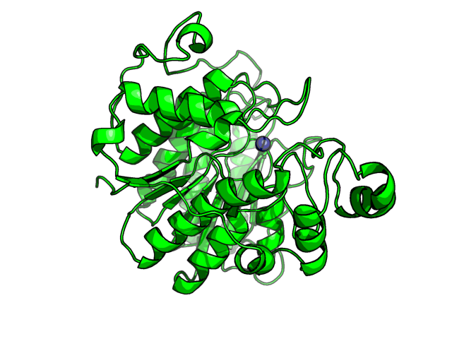 PDB image HDAC2_Q92769