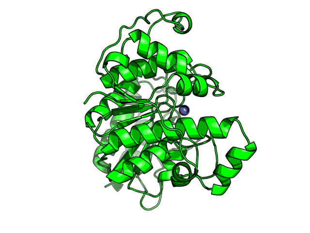 PDB image HDAC8_Q9BY41