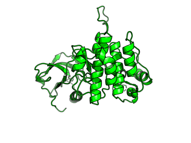 PDB image IGF1R_P08069